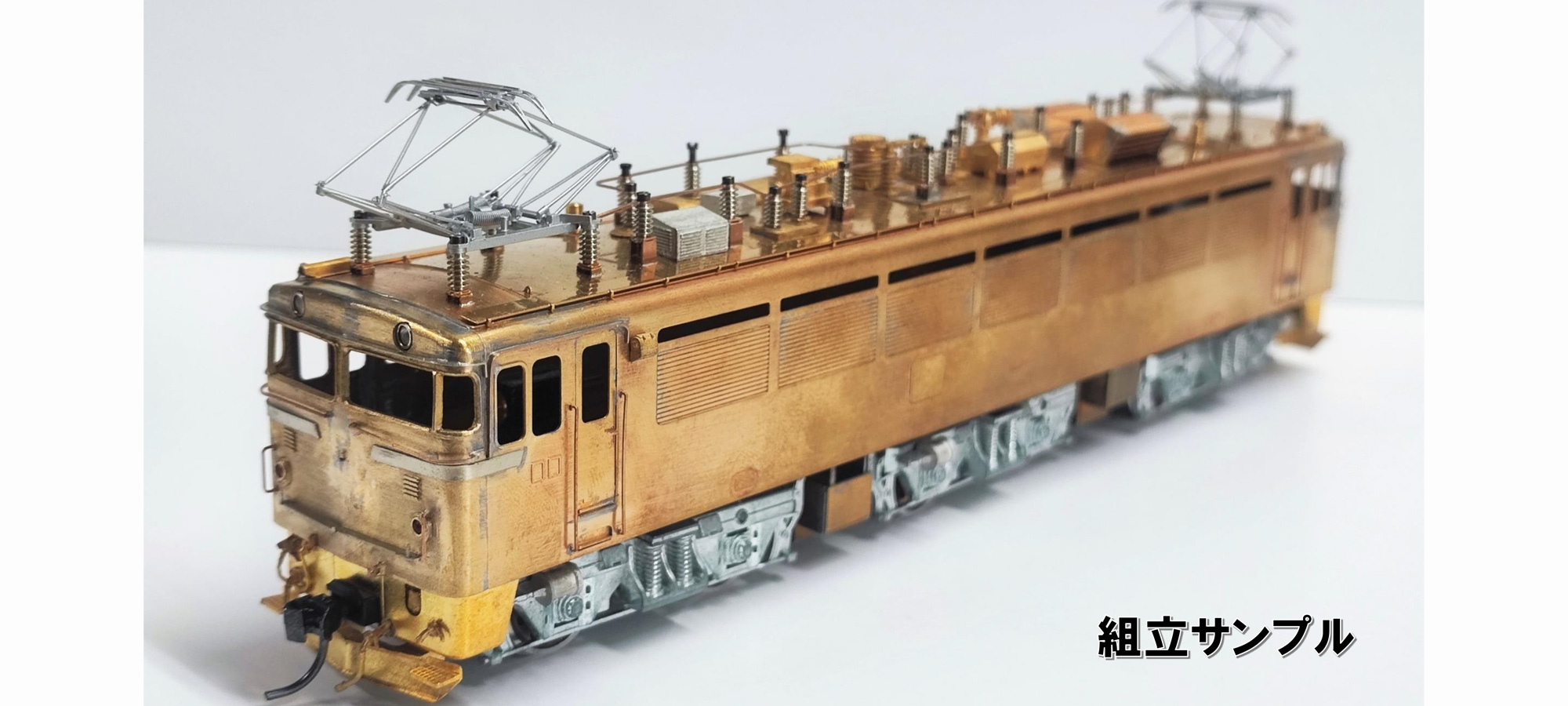 PRESSE EISENBAHN 1/80 16.5mmゲージ キット 国鉄 EF80型 電気